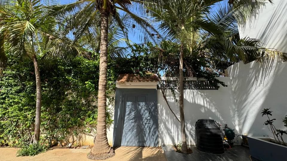 528762619 1269256054669559 4730831015569859280 n